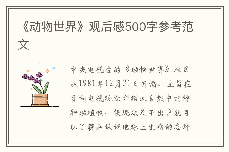 《動物世界》觀后感500字參考范文