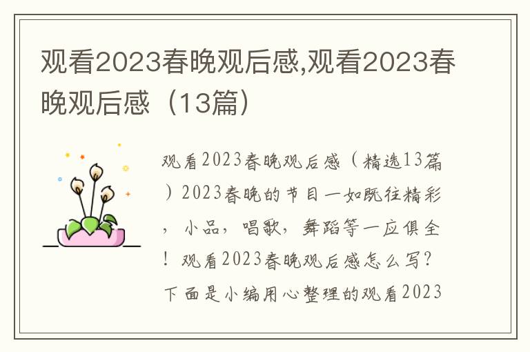 觀看2023春晚觀后感,觀看2023春晚觀后感（13篇）