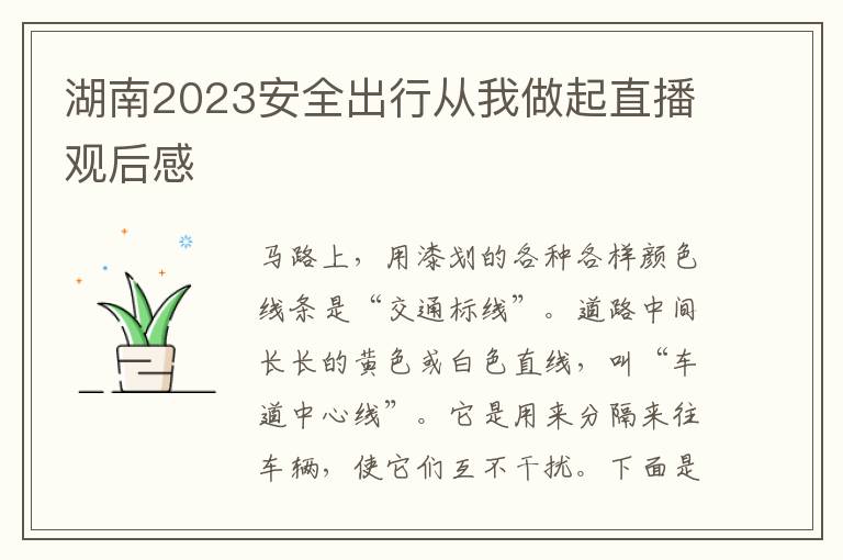 湖南2023安全出行從我做起直播觀后感