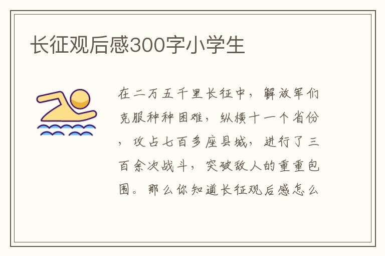 長征觀后感300字小學生