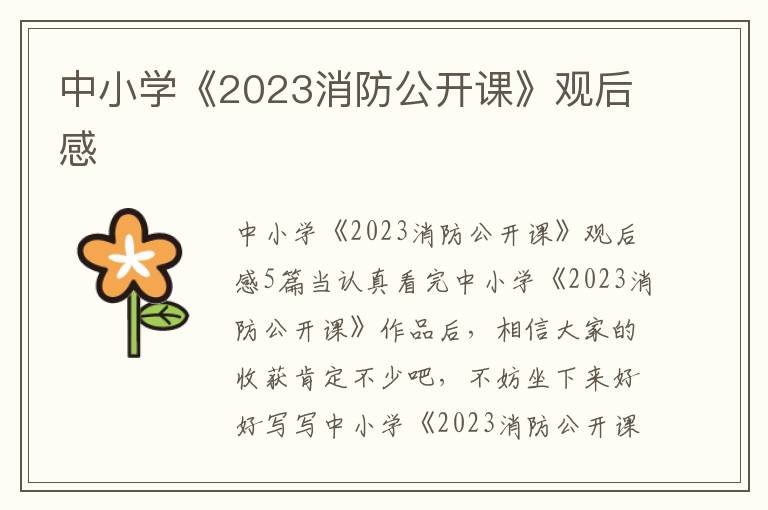 中小學《2023消防公開課》觀后感