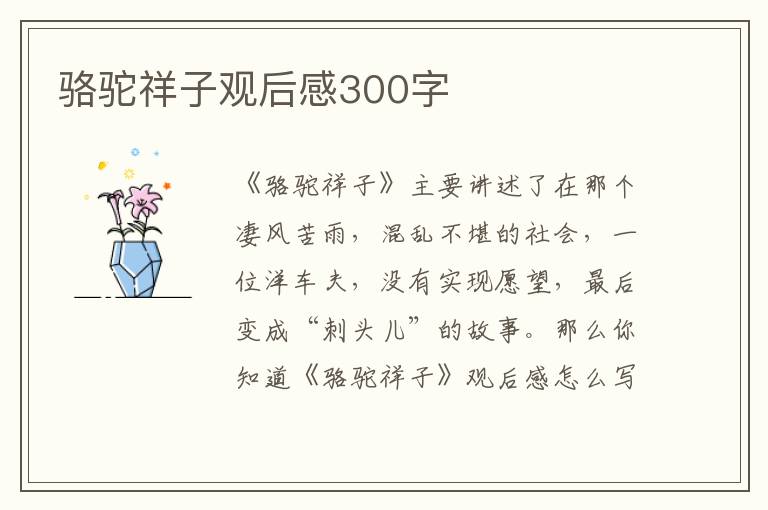 駱駝祥子觀后感300字