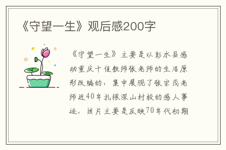 《守望一生》觀后感200字