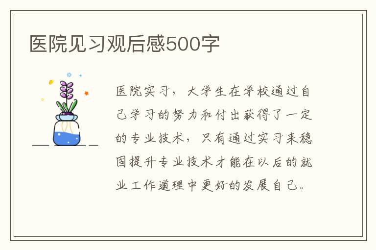 醫(yī)院見習(xí)觀后感500字