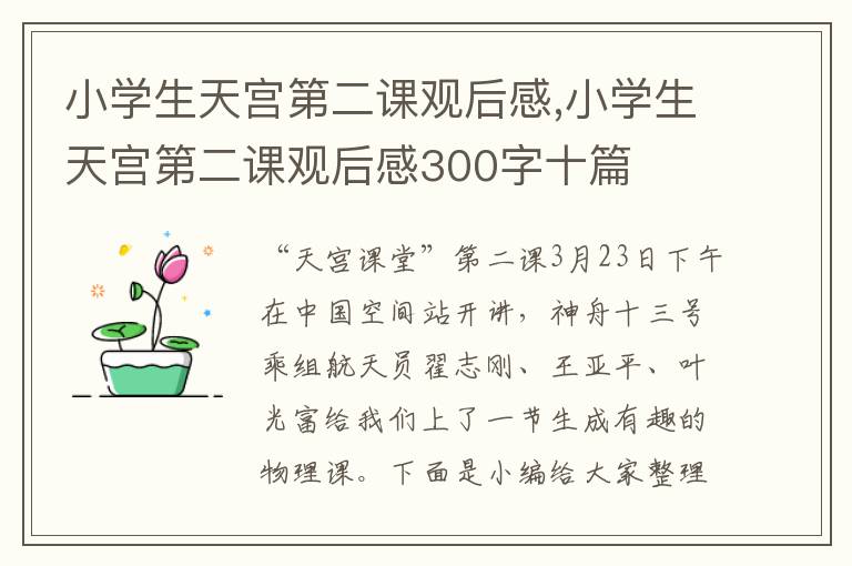 小學(xué)生天宮第二課觀后感,小學(xué)生天宮第二課觀后感300字十篇