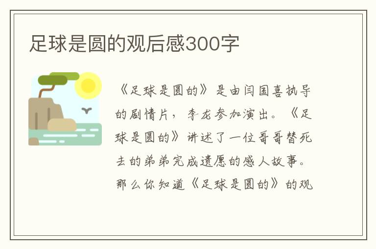 足球是圓的觀后感300字