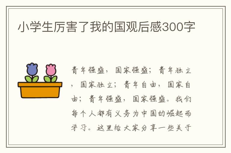 小學生厲害了我的國觀后感300字