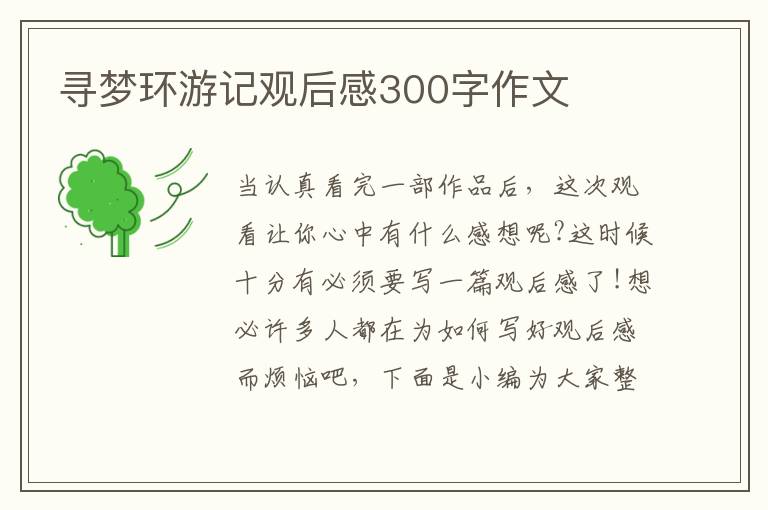 尋夢環游記觀后感300字作文