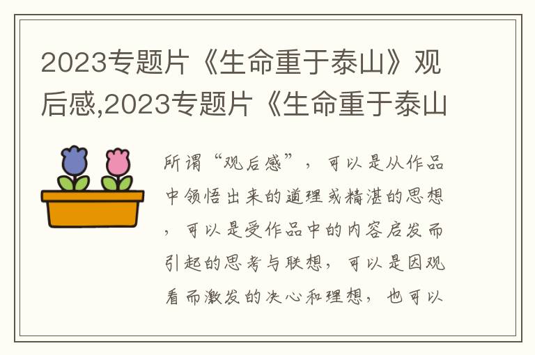 2023專題片《生命重于泰山》觀后感,2023專題片《生命重于泰山》觀后感【5篇】