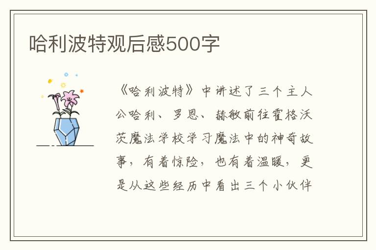 哈利波特觀后感500字