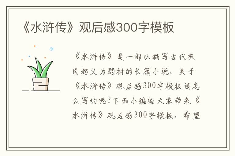 《水滸傳》觀后感300字模板