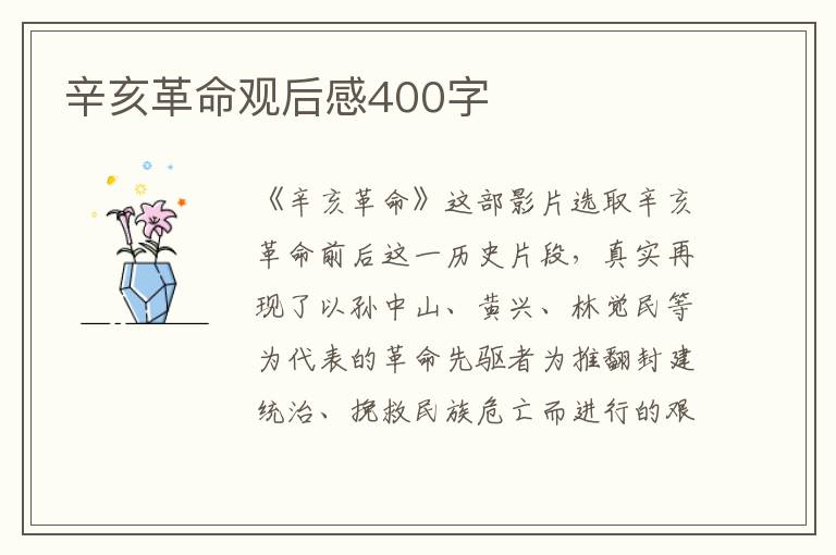 辛亥革命觀后感400字