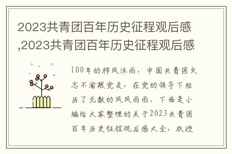 2023共青團(tuán)百年歷史征程觀后感,2023共青團(tuán)百年歷史征程觀后感大全