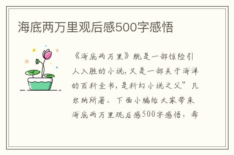 海底兩萬里觀后感500字感悟