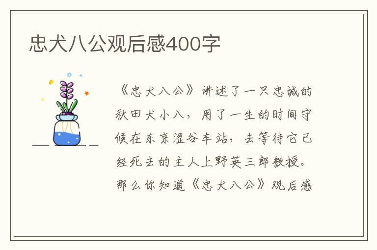 忠犬八公觀后感400字