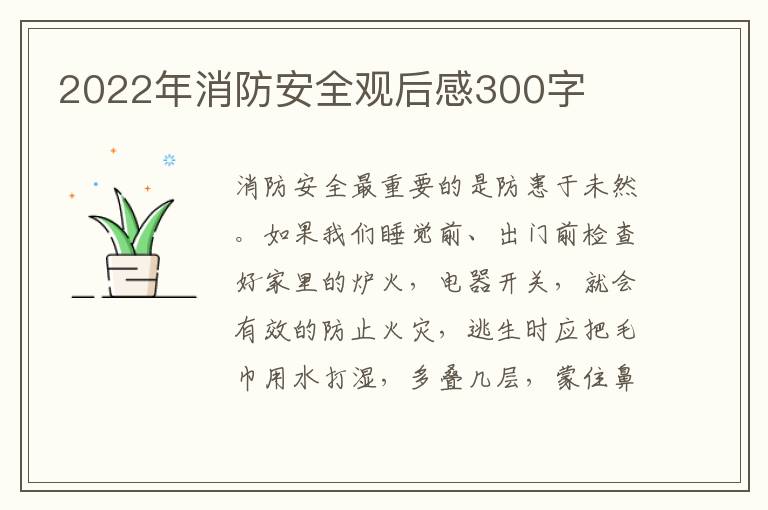 2022年消防安全觀后感300字