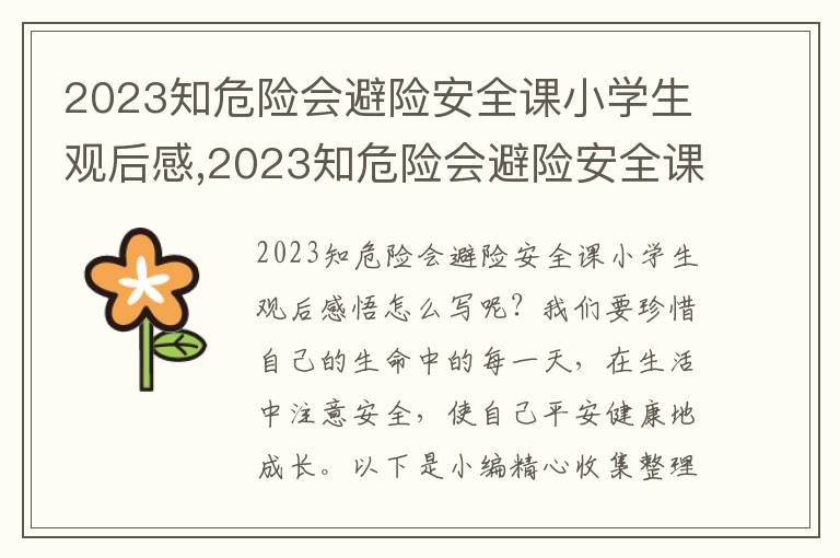 2023知危險(xiǎn)會避險(xiǎn)安全課小學(xué)生觀后感,2023知危險(xiǎn)會避險(xiǎn)安全課小學(xué)生觀后感悟