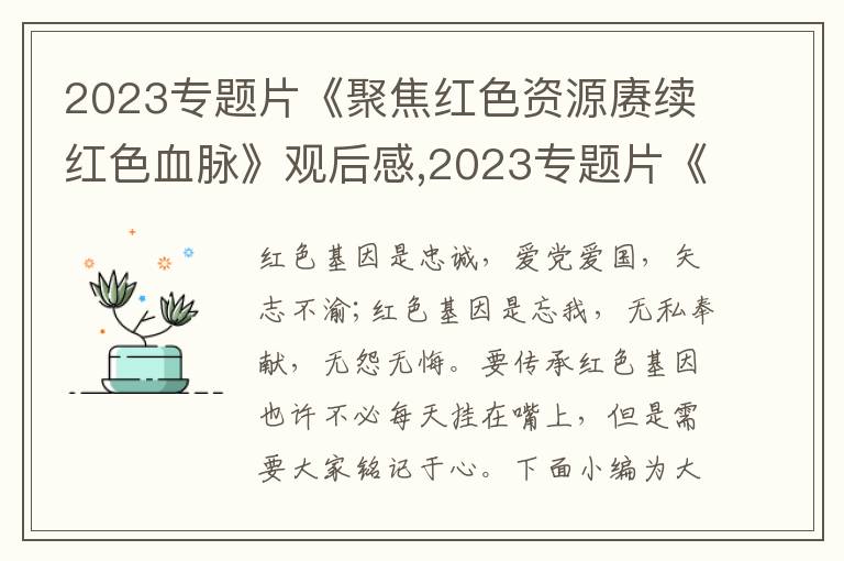 2023專題片《聚焦紅色資源賡續(xù)紅色血脈》觀后感,2023專題片《聚焦紅色資源賡續(xù)紅色血脈》觀后感10篇