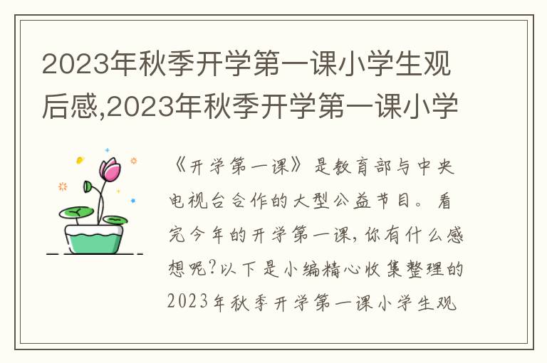 2023年秋季開學(xué)第一課小學(xué)生觀后感,2023年秋季開學(xué)第一課小學(xué)生觀后感作文