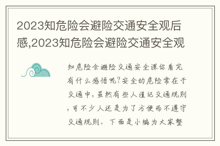 2023知危險(xiǎn)會避險(xiǎn)交通安全觀后感,2023知危險(xiǎn)會避險(xiǎn)交通安全觀后感10篇