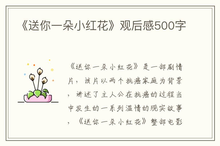 《送你一朵小紅花》觀后感500字