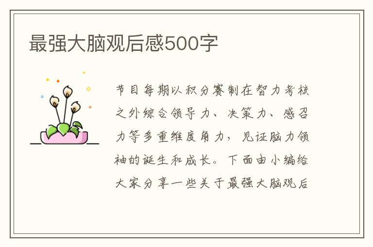 最強大腦觀后感500字