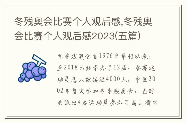 冬殘奧會比賽個人觀后感,冬殘奧會比賽個人觀后感2023(五篇)