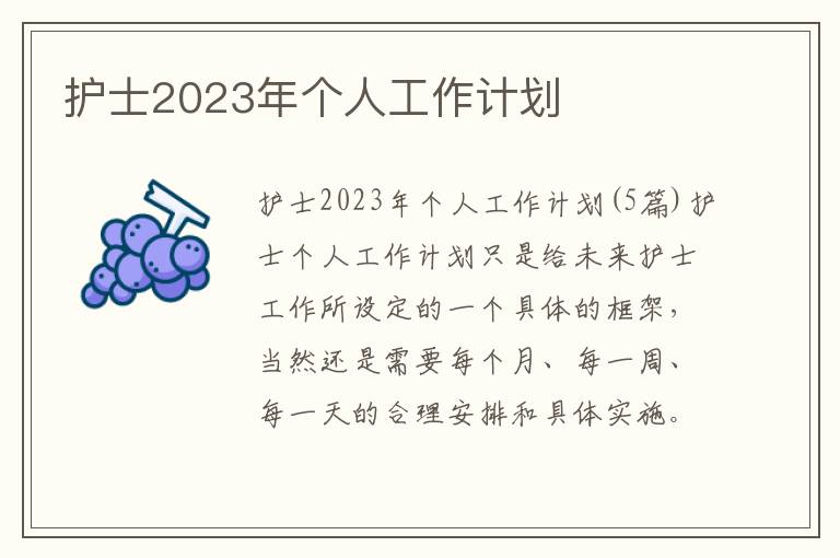 護士2023年個人工作計劃