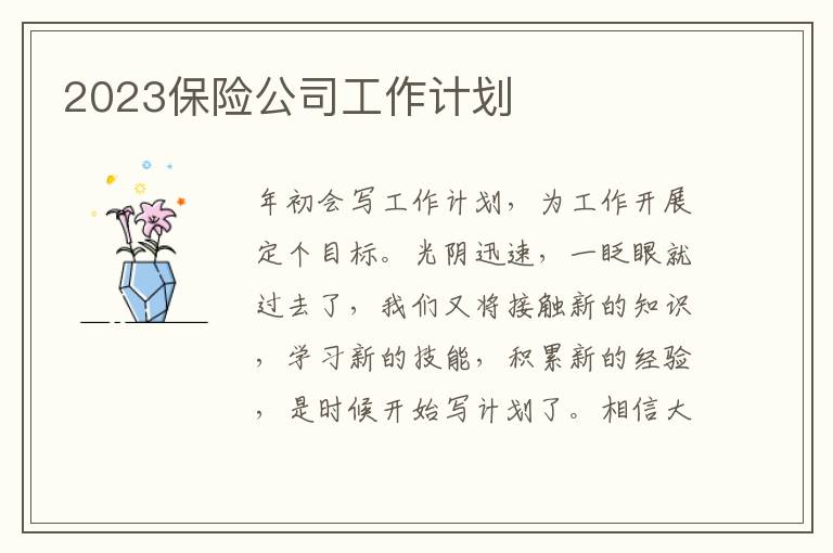 2023保險(xiǎn)公司工作計(jì)劃