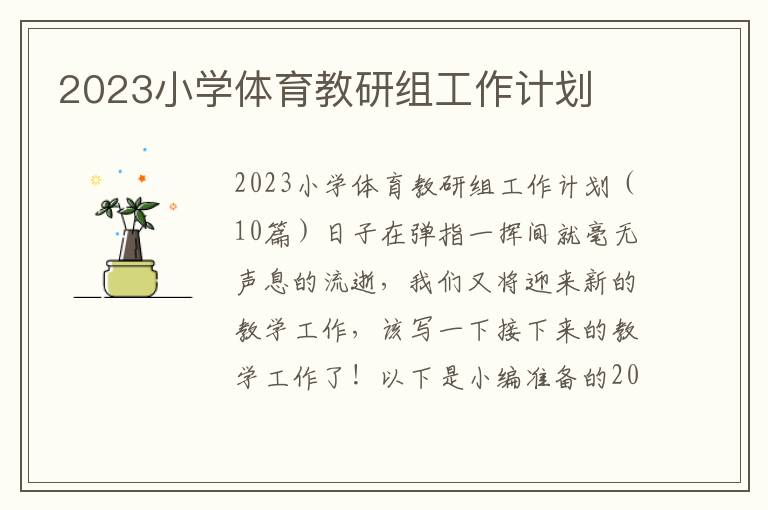 2023小學體育教研組工作計劃