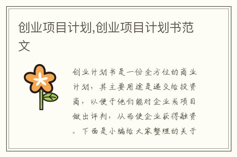 創業項目計劃,創業項目計劃書范文