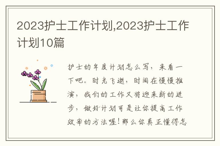 2023護(hù)士工作計(jì)劃,2023護(hù)士工作計(jì)劃10篇