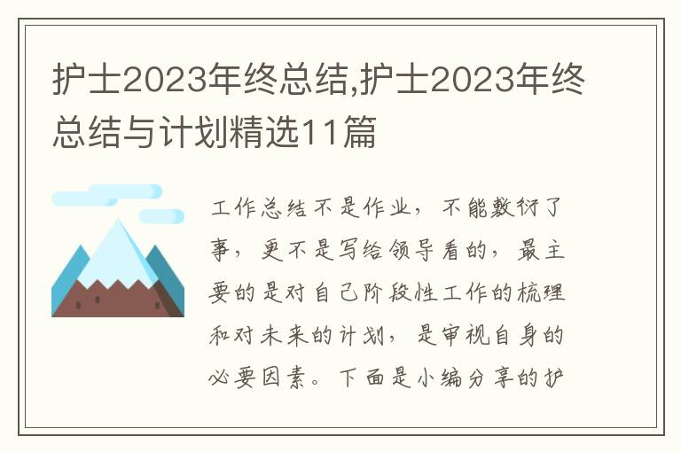 護士2023年終總結(jié),護士2023年終總結(jié)與計劃精選11篇