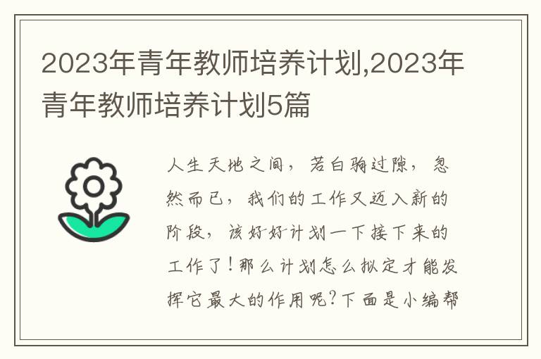 2023年青年教師培養(yǎng)計(jì)劃,2023年青年教師培養(yǎng)計(jì)劃5篇