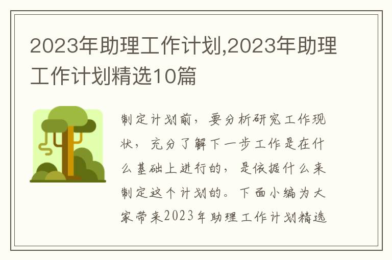 2023年助理工作計劃,2023年助理工作計劃精選10篇