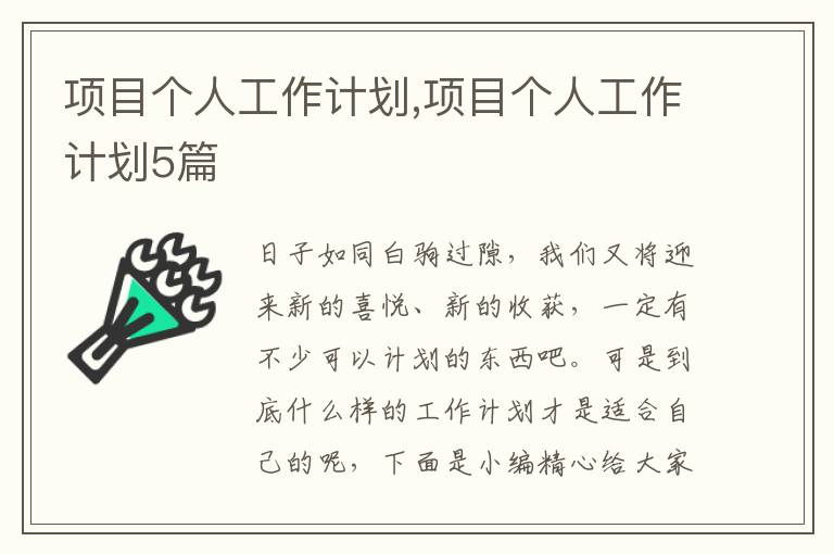 項目個人工作計劃,項目個人工作計劃5篇