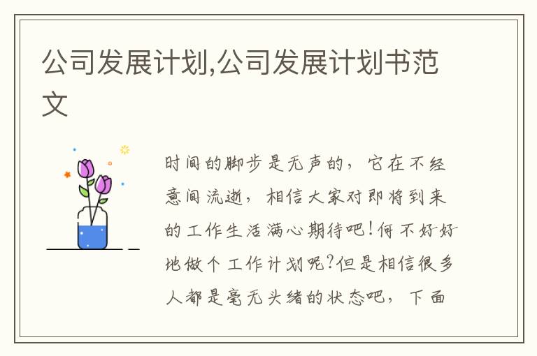 公司發(fā)展計劃,公司發(fā)展計劃書范文