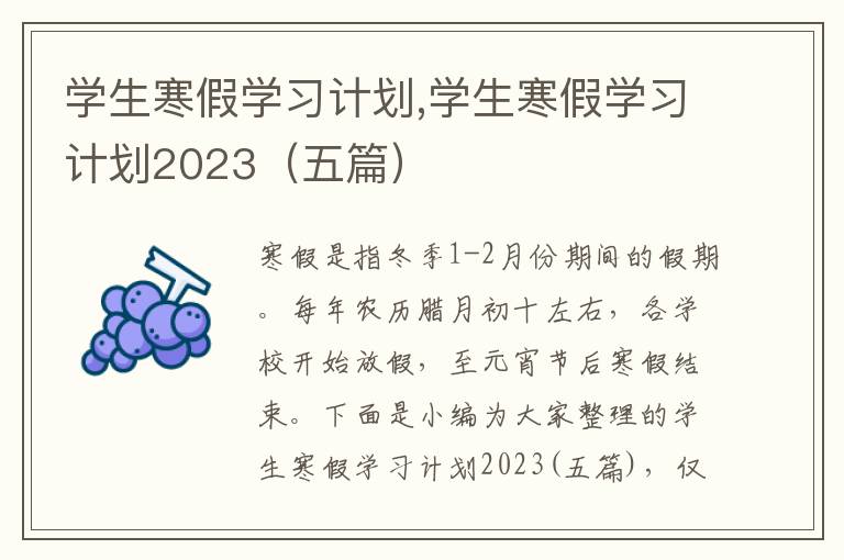 學生寒假學習計劃,學生寒假學習計劃2023（五篇）