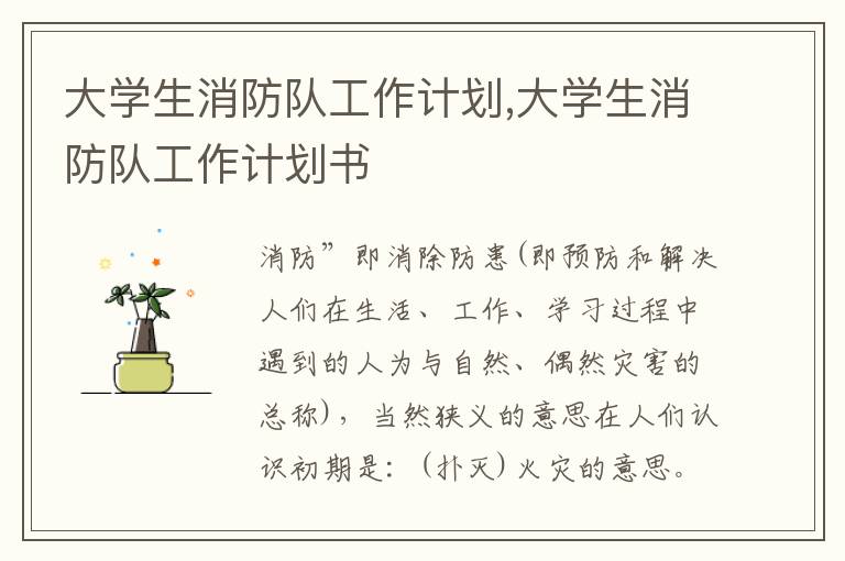 大學生消防隊工作計劃,大學生消防隊工作計劃書