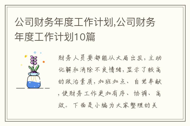 公司財務(wù)年度工作計劃,公司財務(wù)年度工作計劃10篇