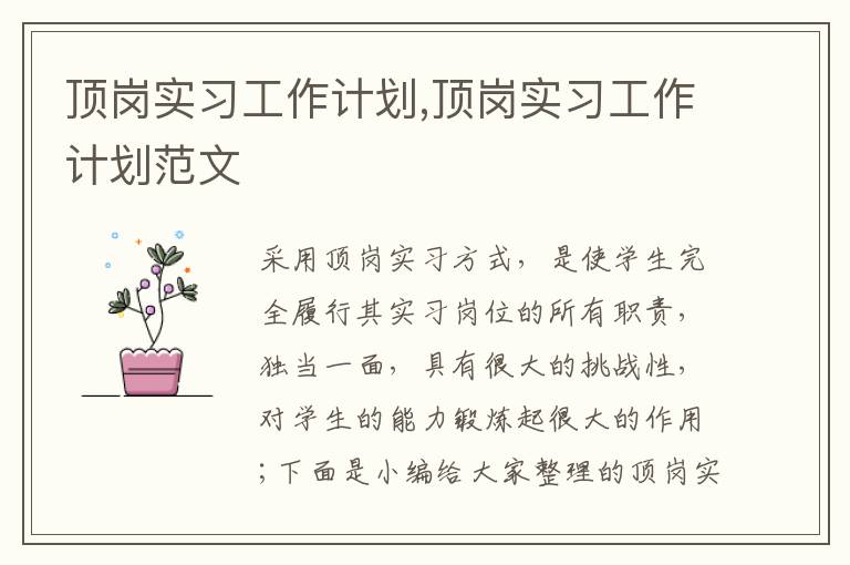 頂崗實習工作計劃,頂崗實習工作計劃范文