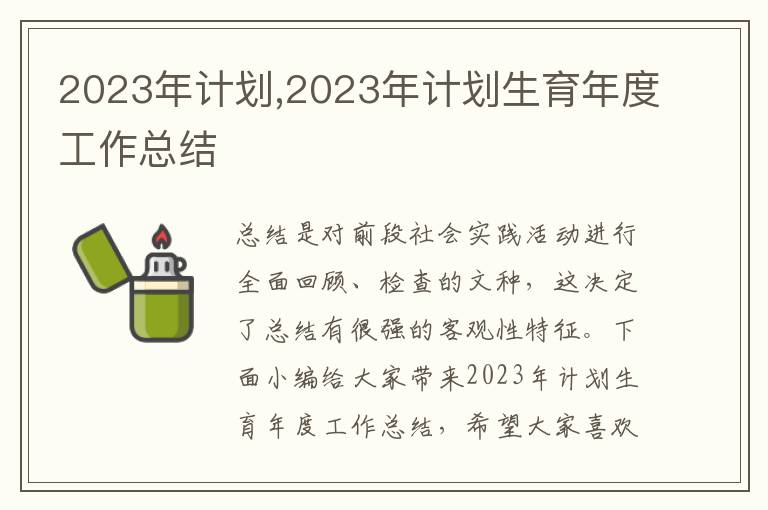 2023年計劃,2023年計劃生育年度工作總結