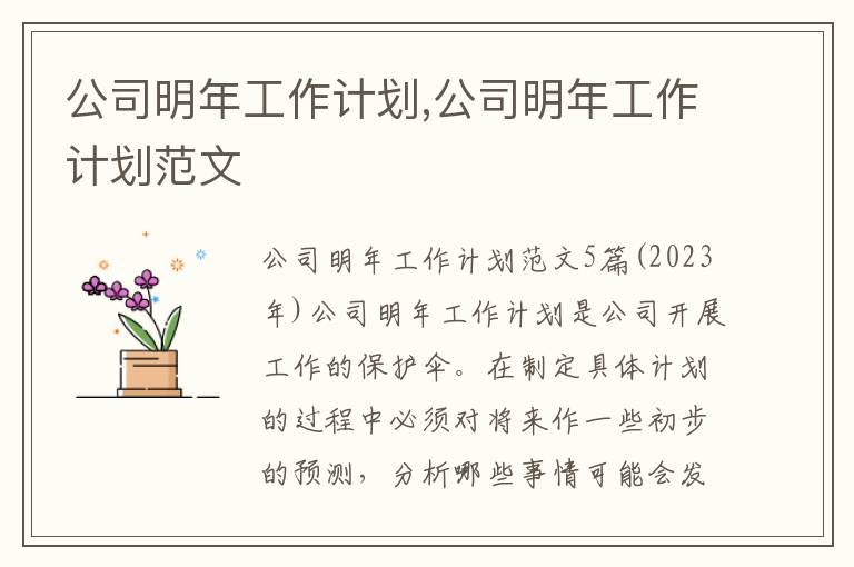 公司明年工作計劃,公司明年工作計劃范文