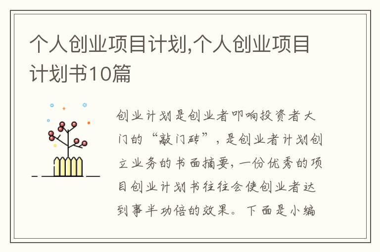 個人創(chuàng)業(yè)項目計劃,個人創(chuàng)業(yè)項目計劃書10篇