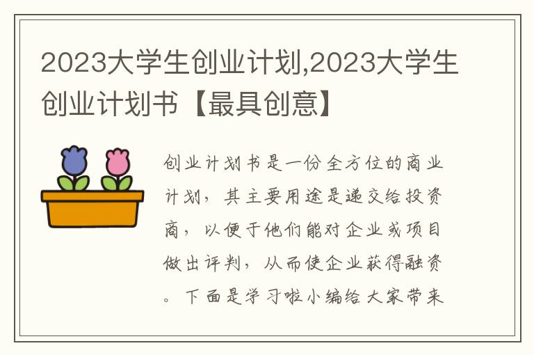 2023大學生創業計劃,2023大學生創業計劃書【最具創意】