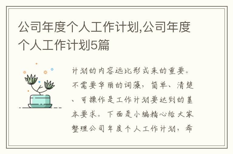 公司年度個(gè)人工作計(jì)劃,公司年度個(gè)人工作計(jì)劃5篇